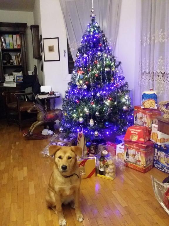 B&B Casa Dei Camini Bentivoglio Zewnętrze zdjęcie