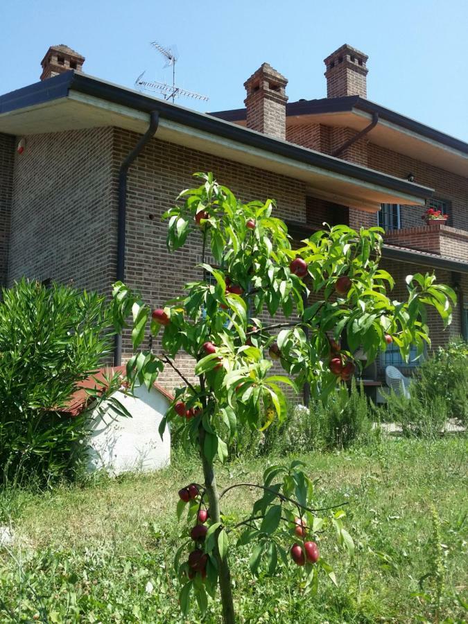 B&B Casa Dei Camini Bentivoglio Zewnętrze zdjęcie