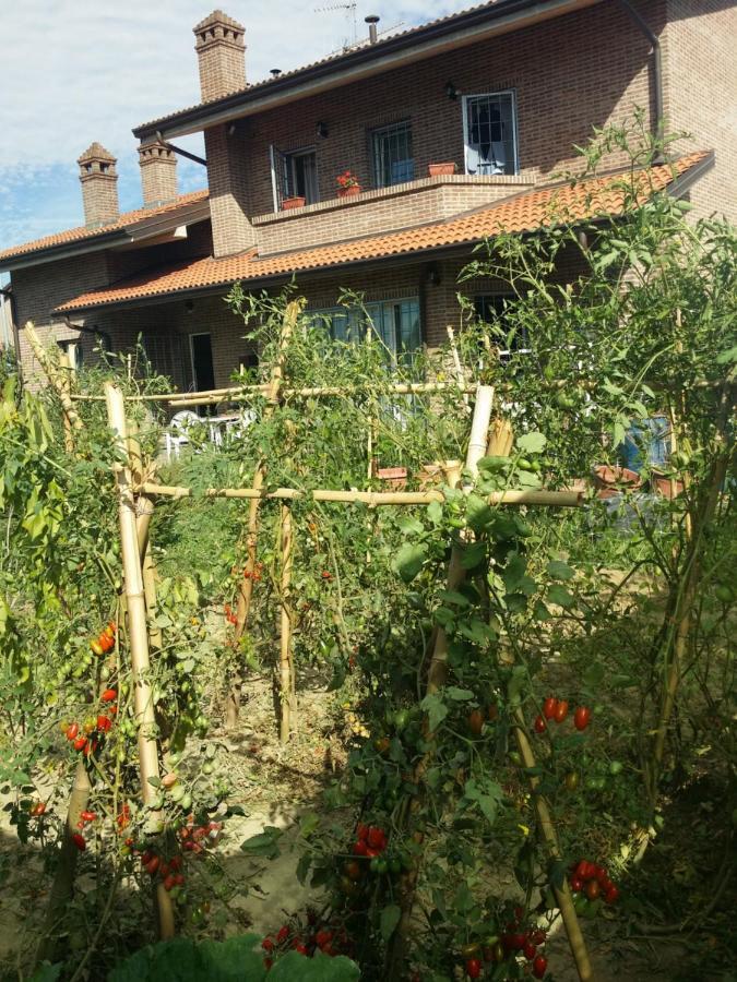 B&B Casa Dei Camini Bentivoglio Zewnętrze zdjęcie