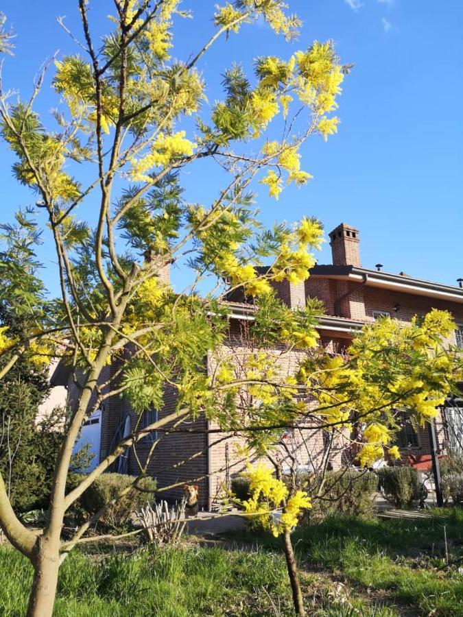 B&B Casa Dei Camini Bentivoglio Zewnętrze zdjęcie